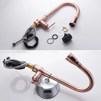 DecorBites™ Antique Bronze Pull Out Kitchen Faucet