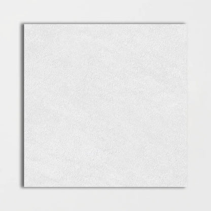 Arctic White R11 Porcelain Pavers 24x24