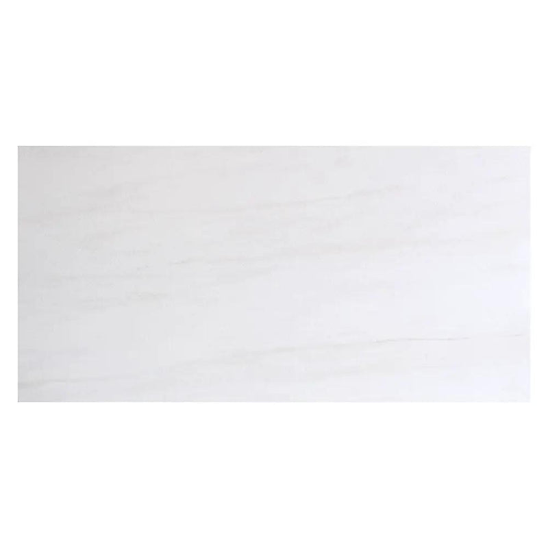 Artica Matte Marble Look Porcelain Tiles 12x24