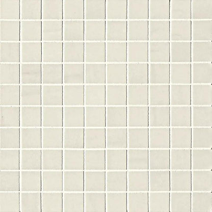 Artica Polished Marble Look Porcelain Mosaics 12x12