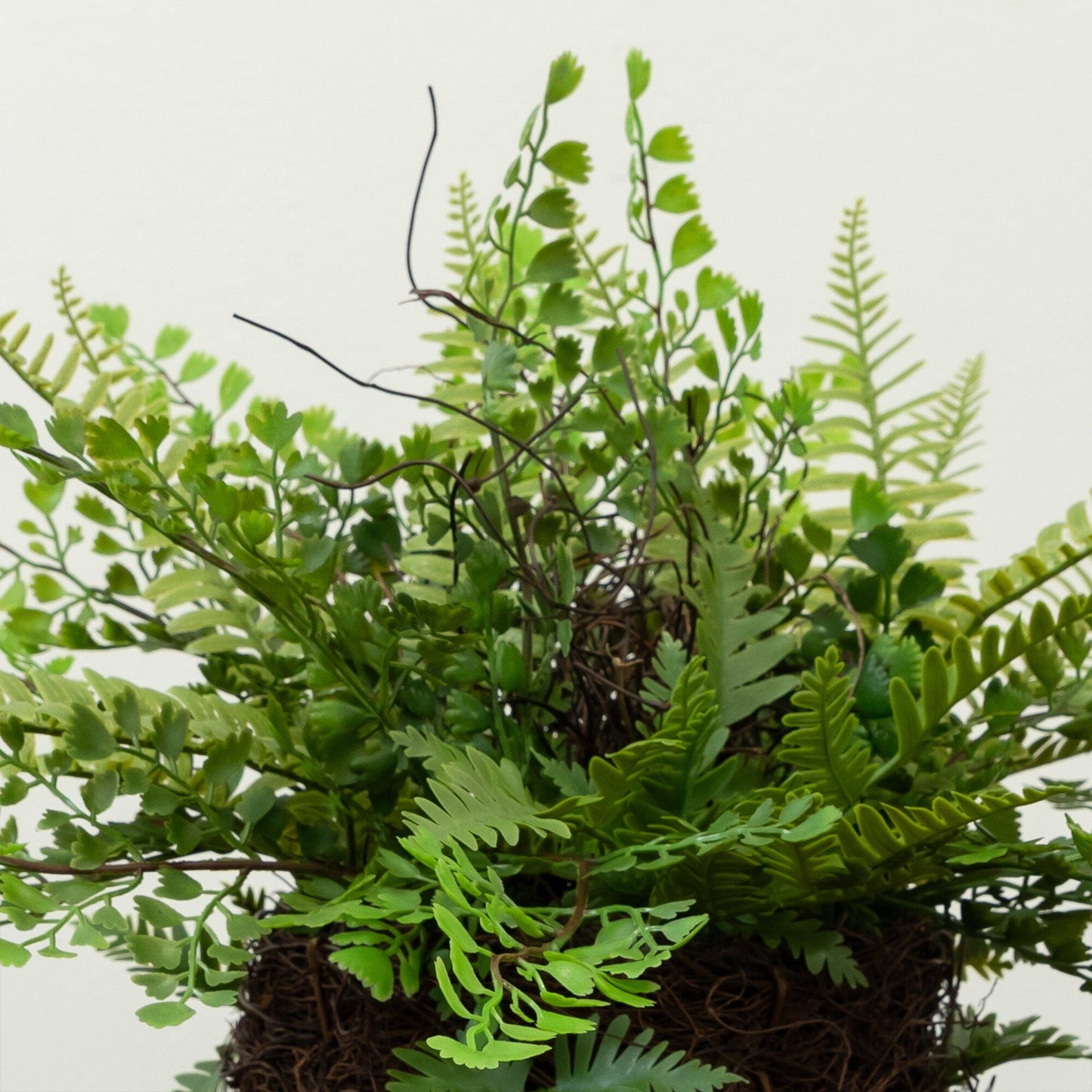 Mixed Fern w/Twig and Moss Basket