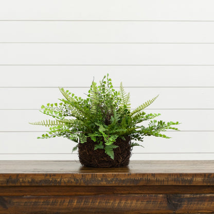 Mixed Fern w/Twig and Moss Basket