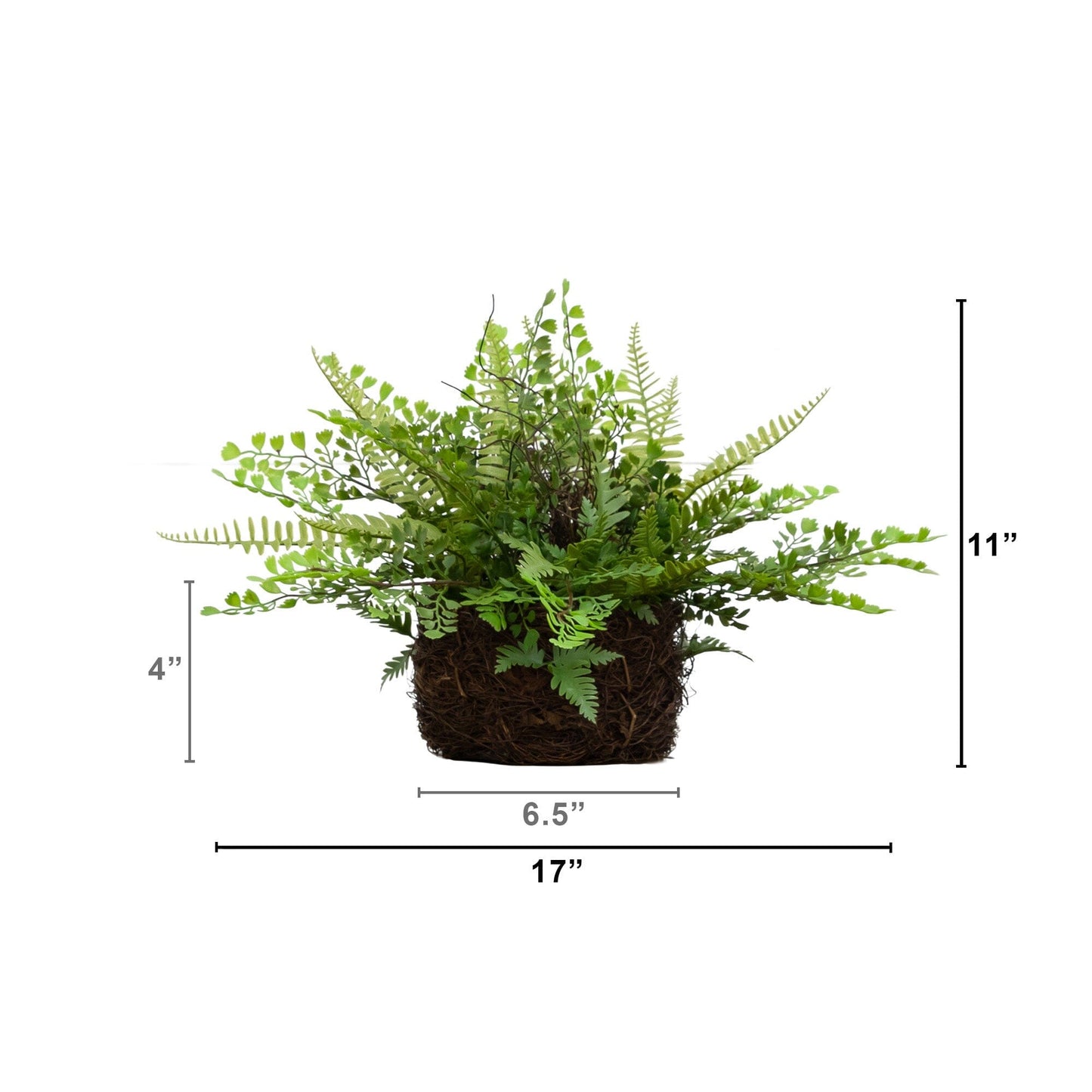 Mixed Fern w/Twig and Moss Basket