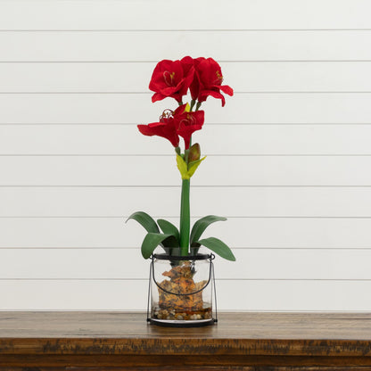24” Amaryllis w/Vase