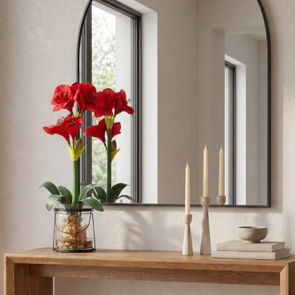 24” Amaryllis w/Vase