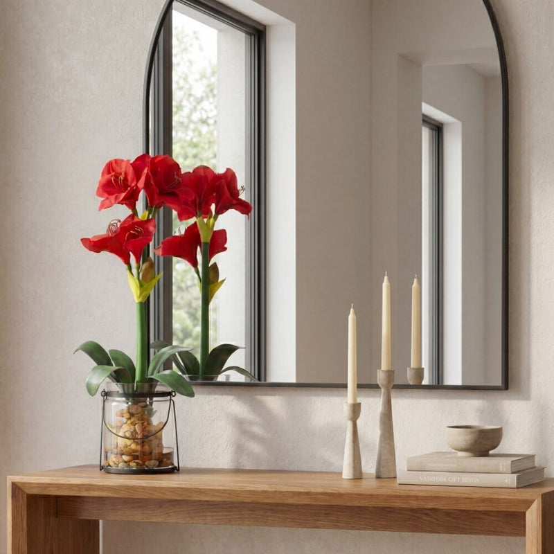 24” Amaryllis w/Vase
