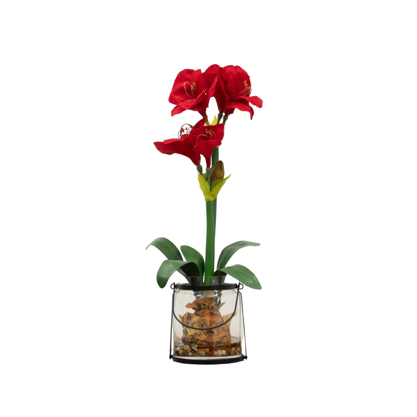 24” Amaryllis w/Vase