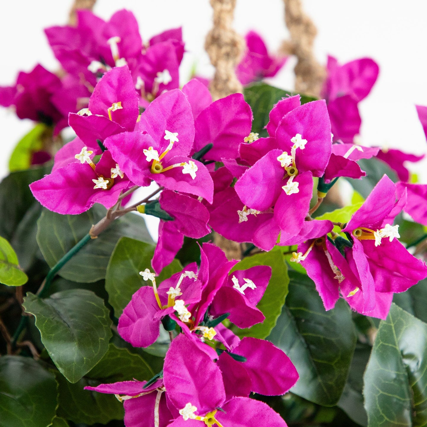 28” Bougainvillea Hanging Basket UV (Indoor/Outdoor)