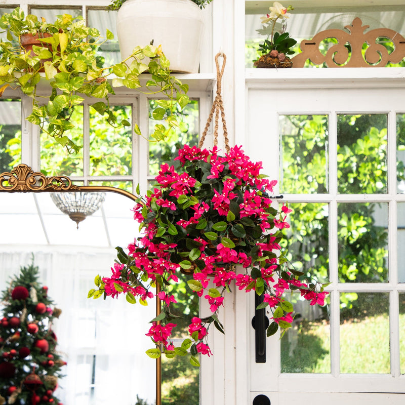 28” Bougainvillea Hanging Basket UV (Indoor/Outdoor)