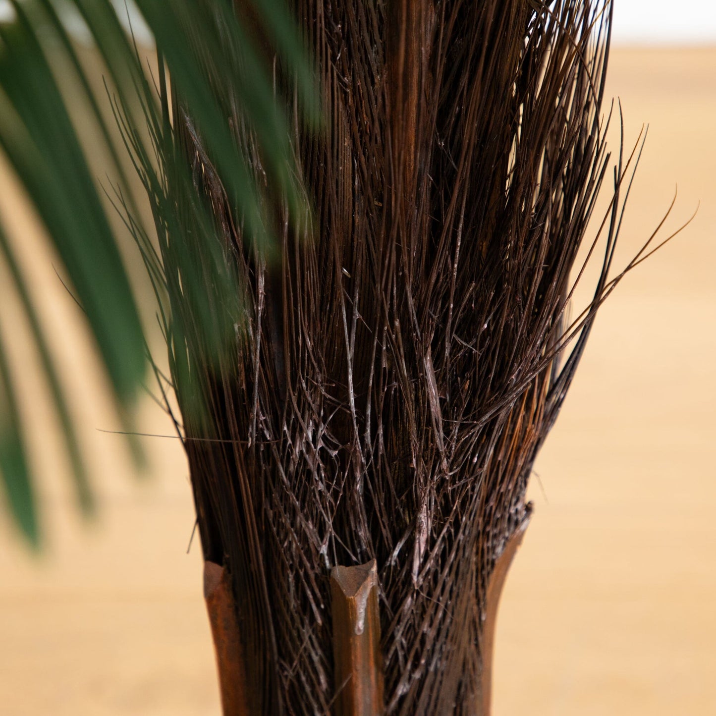 3’ Cycas Palm Tree UV Resistant (Indoor/Outdoor)
