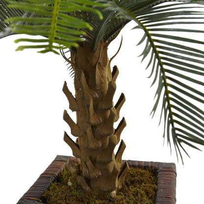 3’ Cycas Tree in Wood Planter