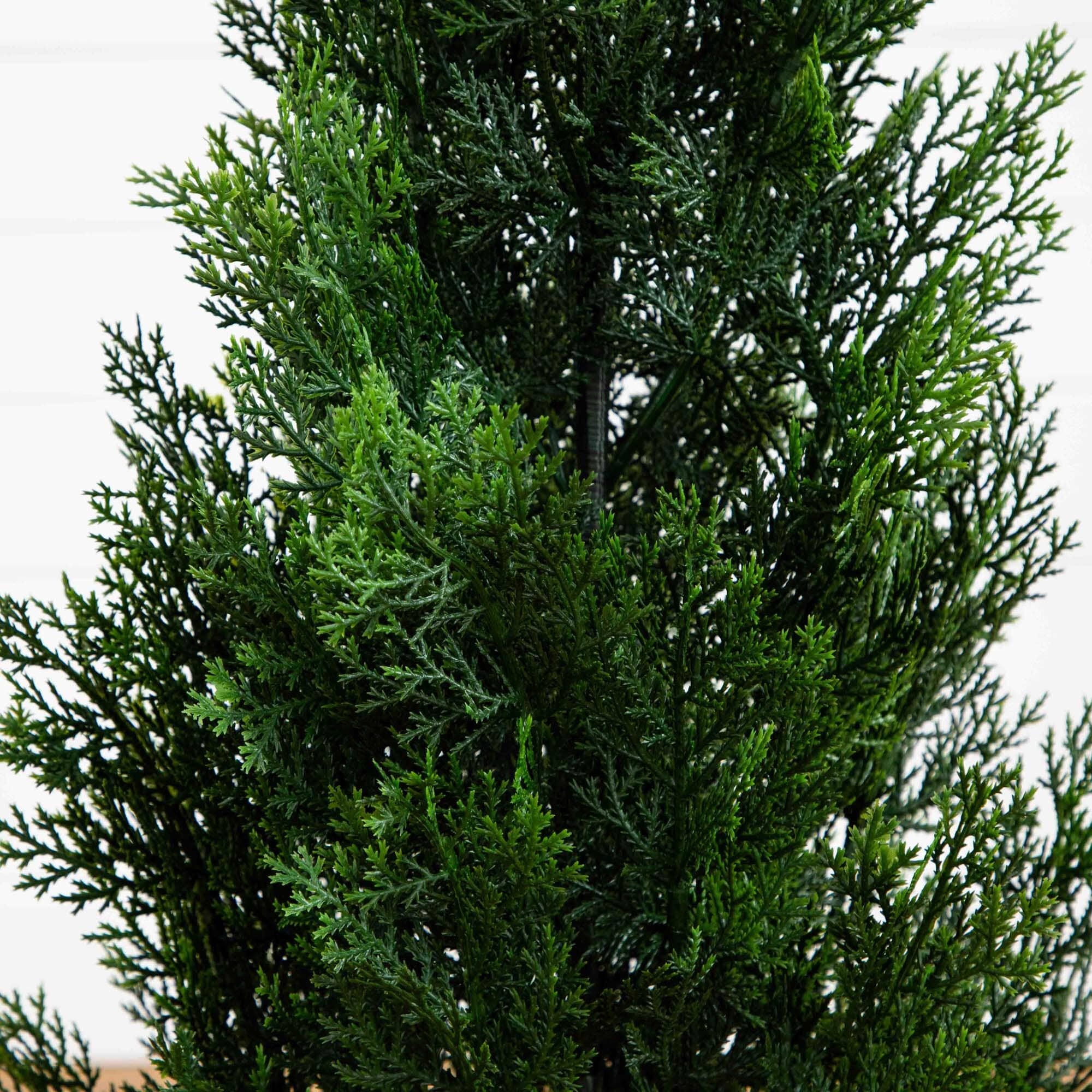 3’ Mini Cedar Pine Tree (Indoor/Outdoor) at great price online