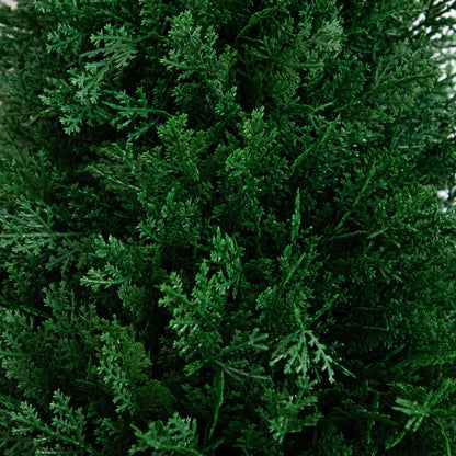 3' UV Resistant Artificial Cedar Plant with Integrated Ground Stake (Indoor/Outdoor) - Set of 2