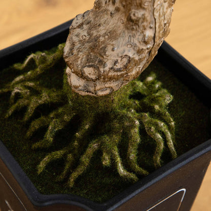 36" Artificial Cedar Bonsai