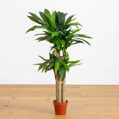 4' Corn Stalk Dracaena Silk Plant (Real Touch)