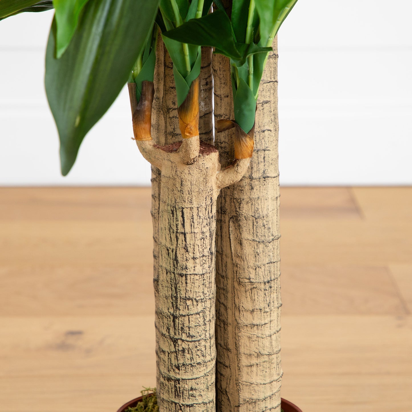 4' Corn Stalk Dracaena Silk Plant (Real Touch)