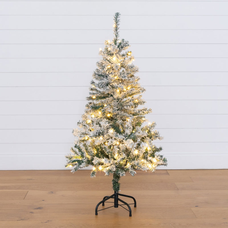 4' Flocked Rock Springs Spruce Artificial Christmas Tree with 100 Clear LED Lights