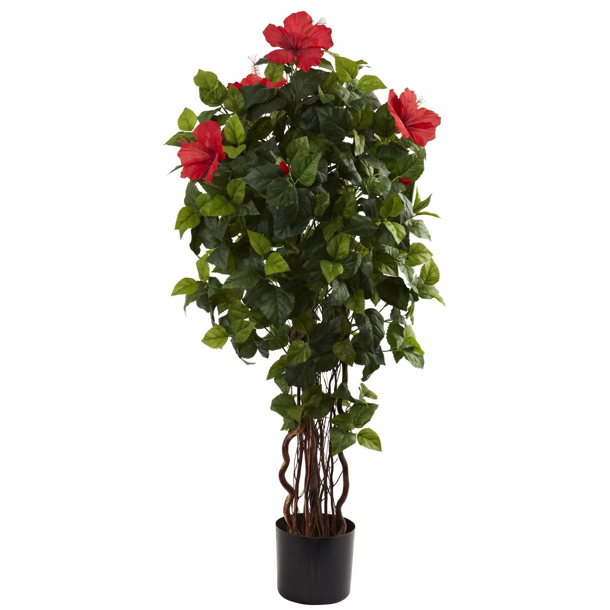 4’ Hibiscus Tree – NACS Home Decor