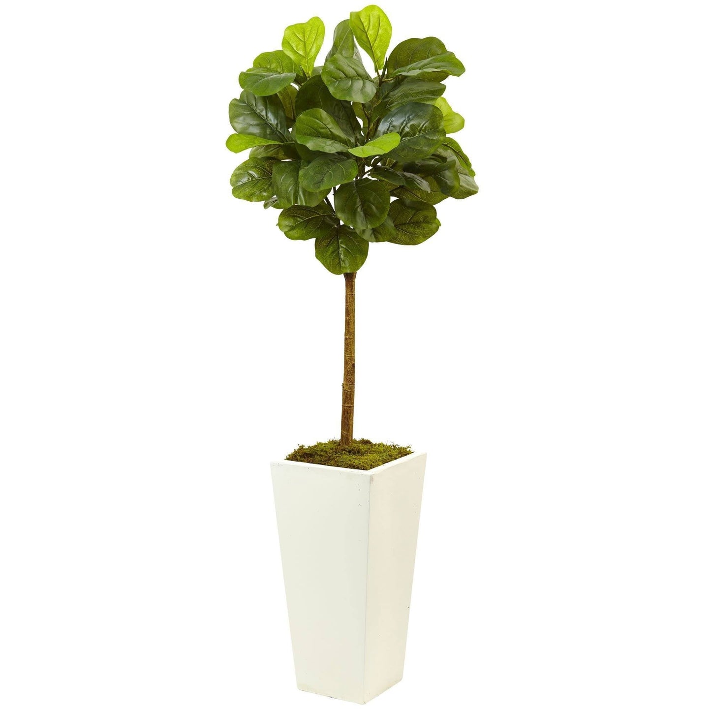 4.5’ Fiddle Leaf Fig Tree in White Planter (Real Touch)
