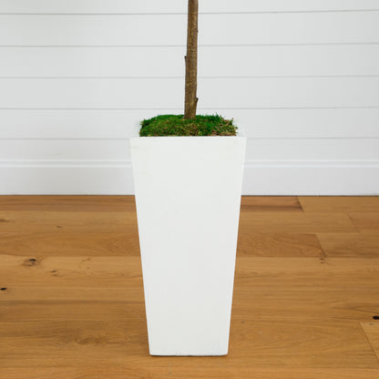 4.5’ Fiddle Leaf Fig Tree in White Planter (Real Touch)