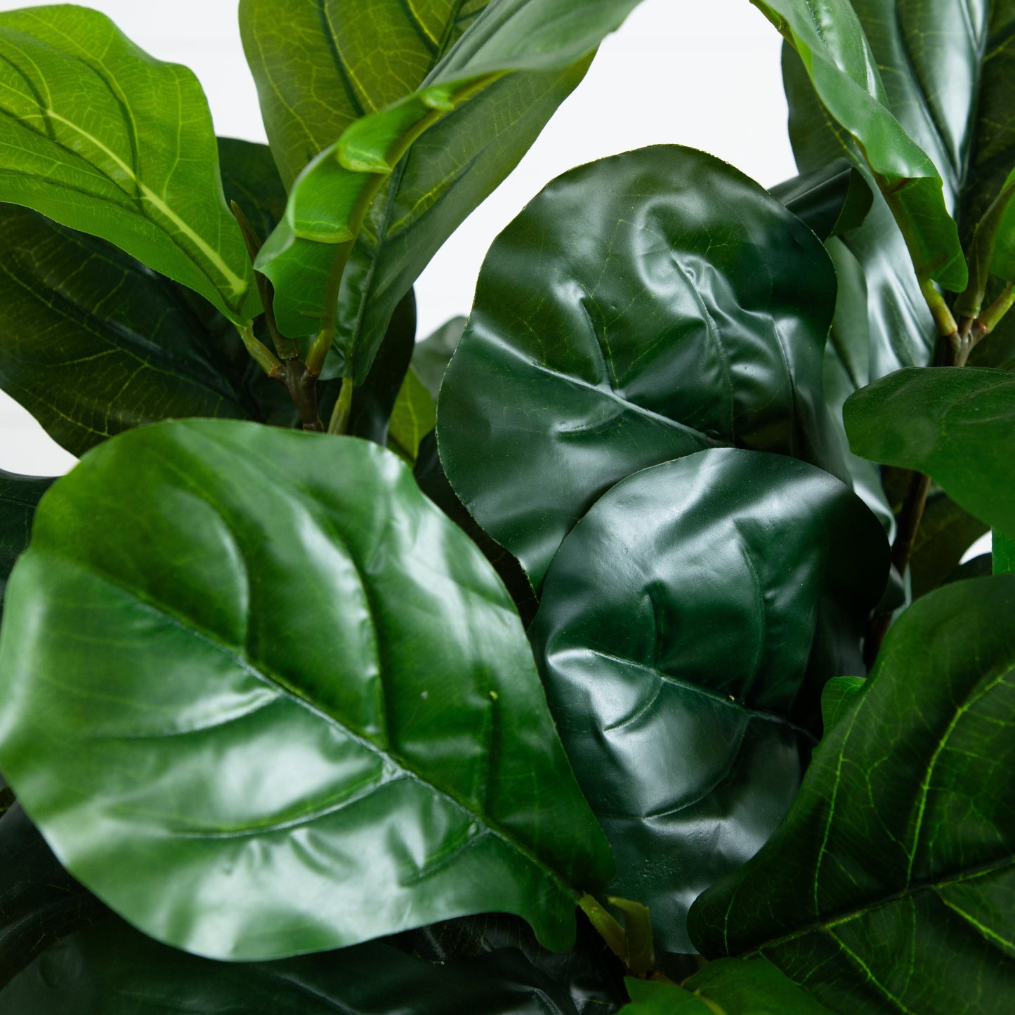 4.5’ Fiddle Leaf Fig Tree in White Planter (Real Touch)