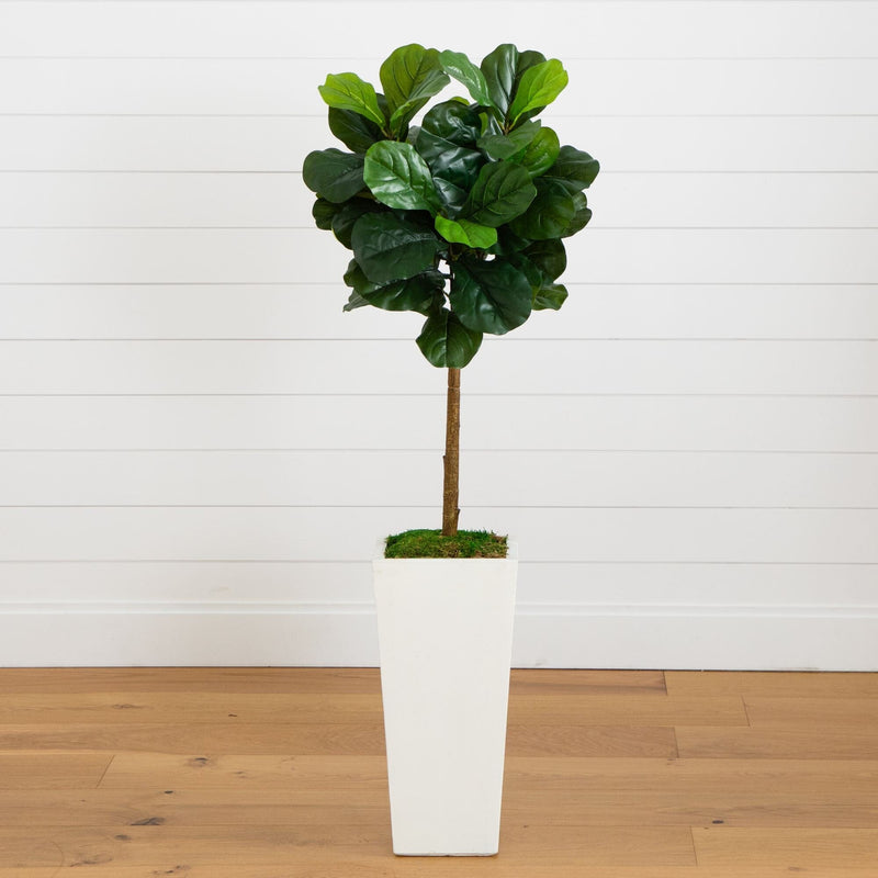 4.5’ Fiddle Leaf Fig Tree in White Planter (Real Touch)