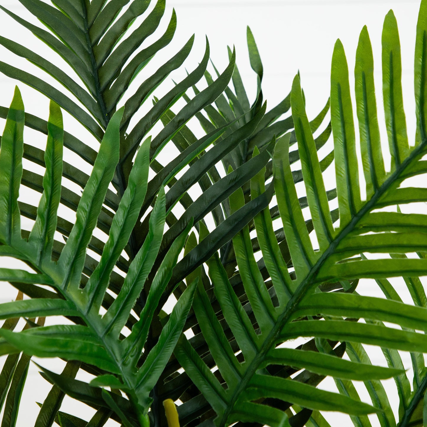 5’ Areca Palm Artificial Tree in White Planter (Real Touch)