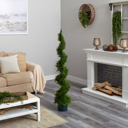 5' Cypress Spiral Tree
