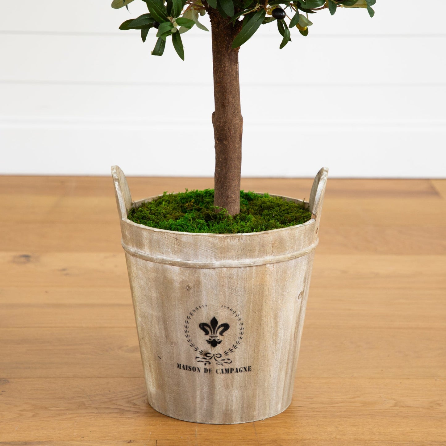 5’ Olive Tree in Farmhouse Planter