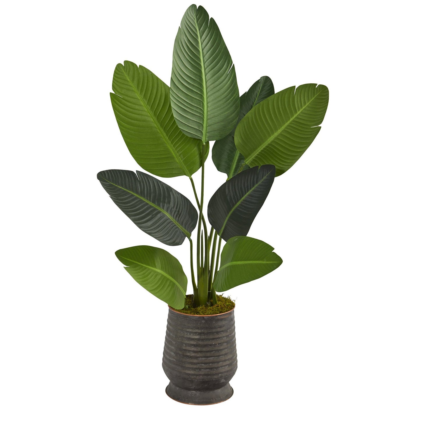 50” Traveler's Palm Artificial Tree in Ribbed Metal Planter