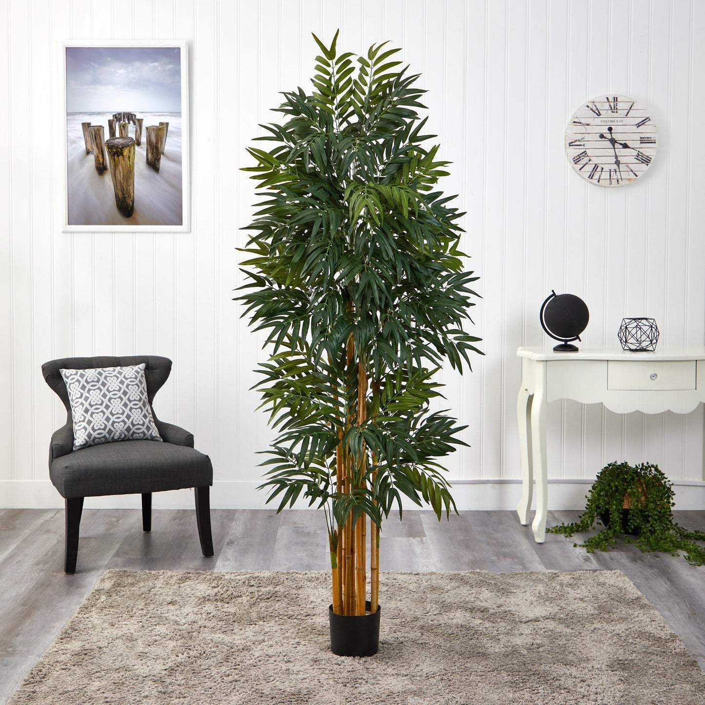 5.5’ Phoenix Artificial Palm tree with Natural Trunk