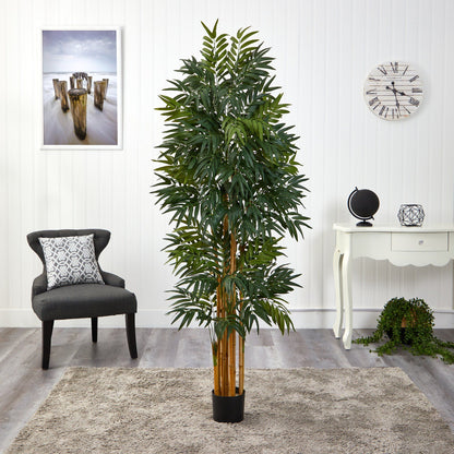5.5’ Phoenix Artificial Palm tree with Natural Trunk