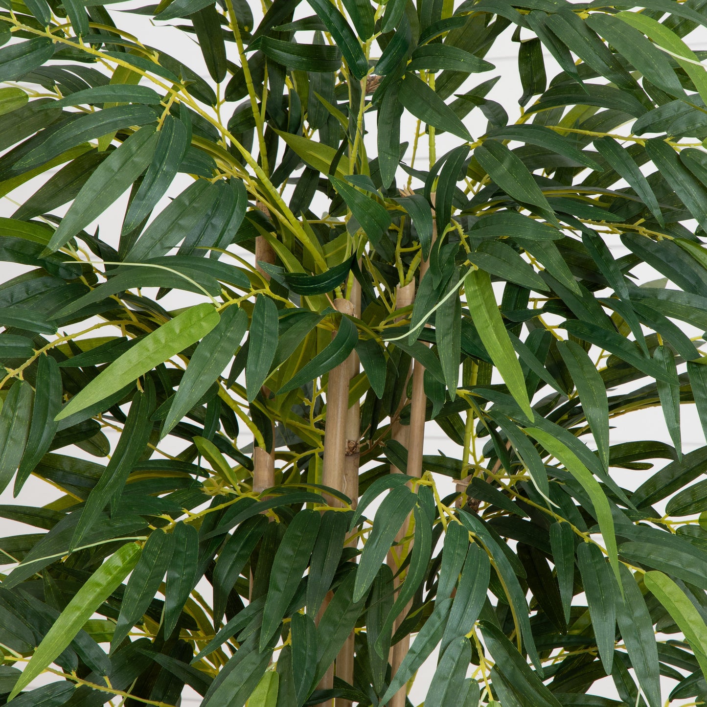 6' Bamboo Tree