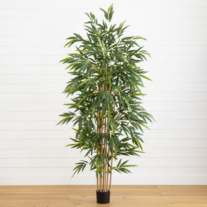 6' Bamboo Tree