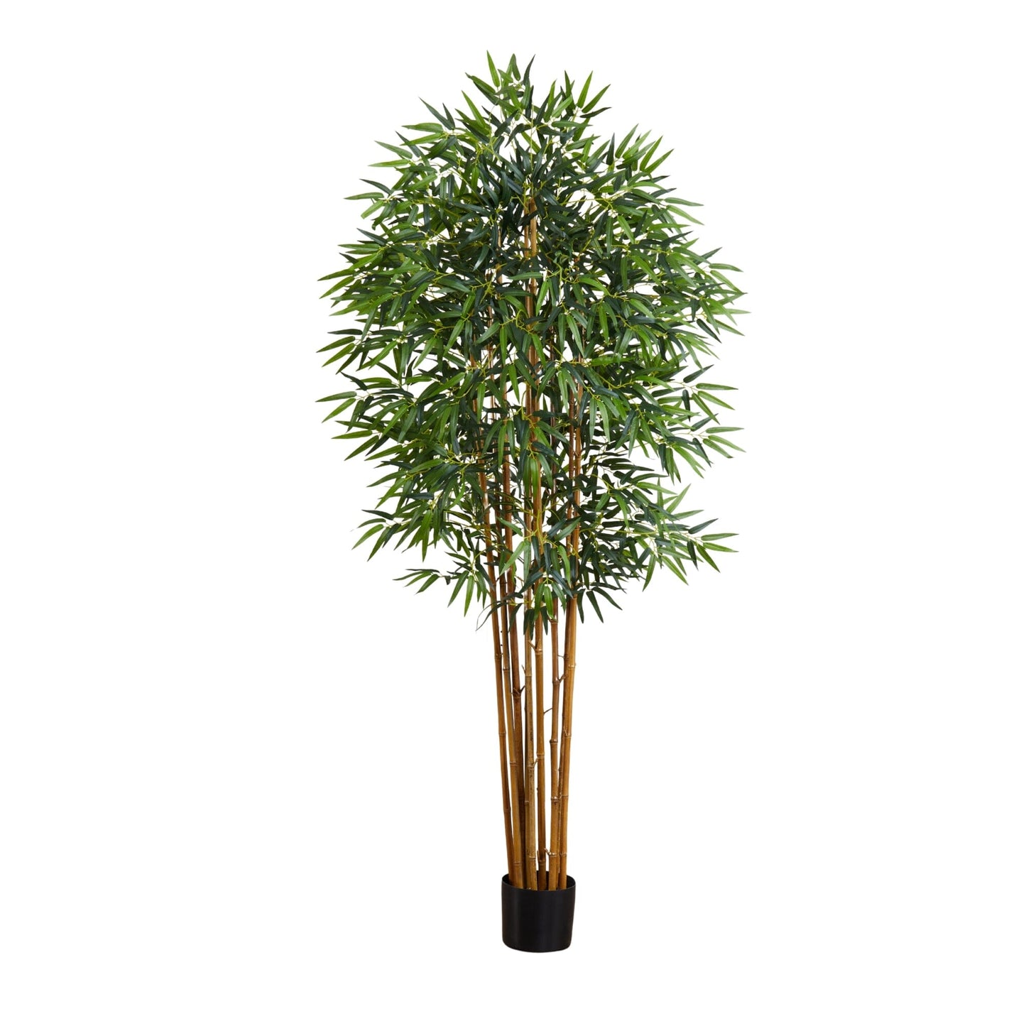6'  Fancy Style Bamboo Silk Tree
