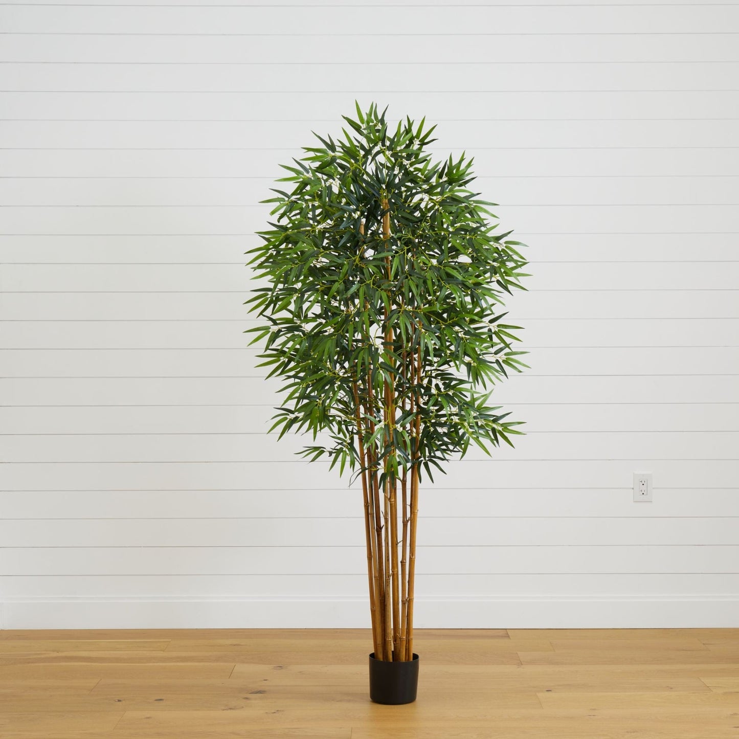 6'  Fancy Style Bamboo Silk Tree
