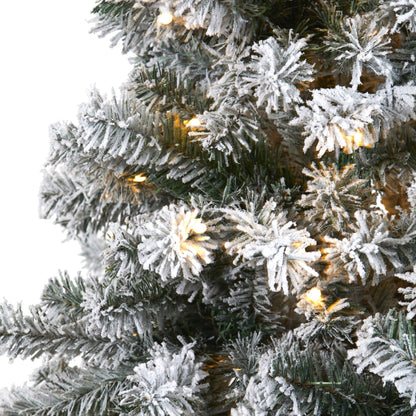 6' Flocked Rock Springs Spruce Artificial Christmas Tree with 250 Clear LED Lights