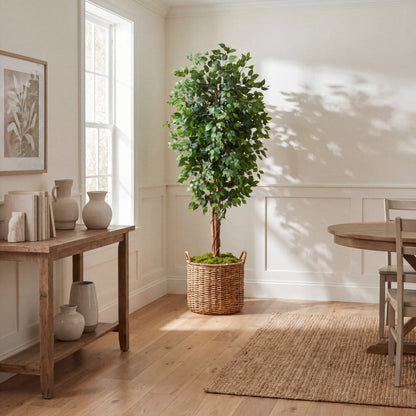 7' Ficus Silk Tree