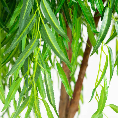 8’ Willow Artificial Tree  (Real Touch)