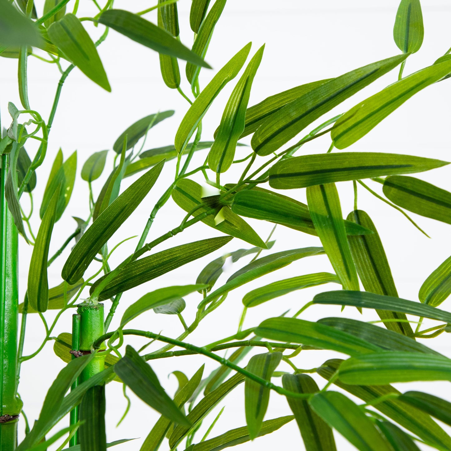 Bamboo Tree with White Planter UV Resistant (Indoor/Outdoor)