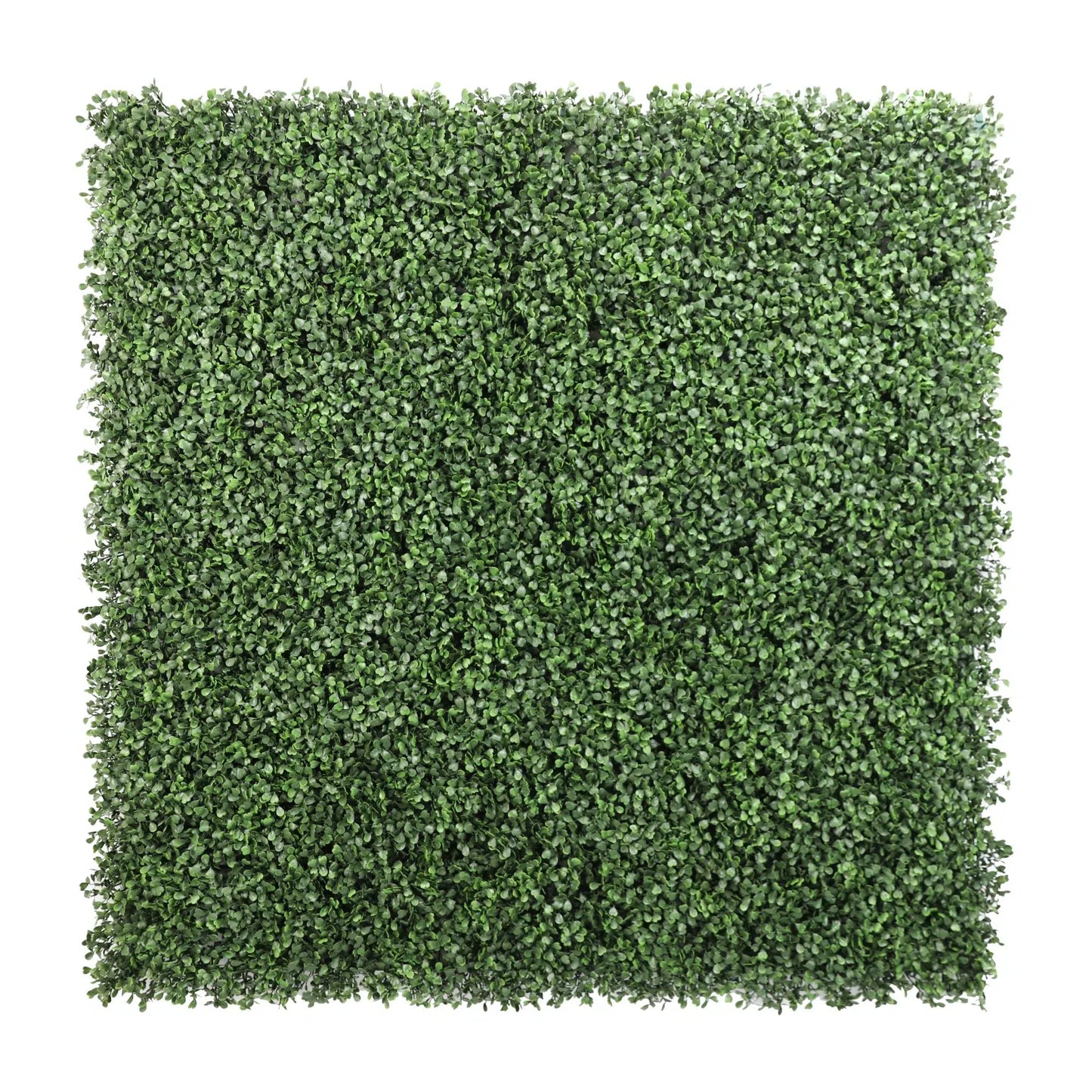 Sample Panel – Dark Boxwood Green Wall (Small Sample)