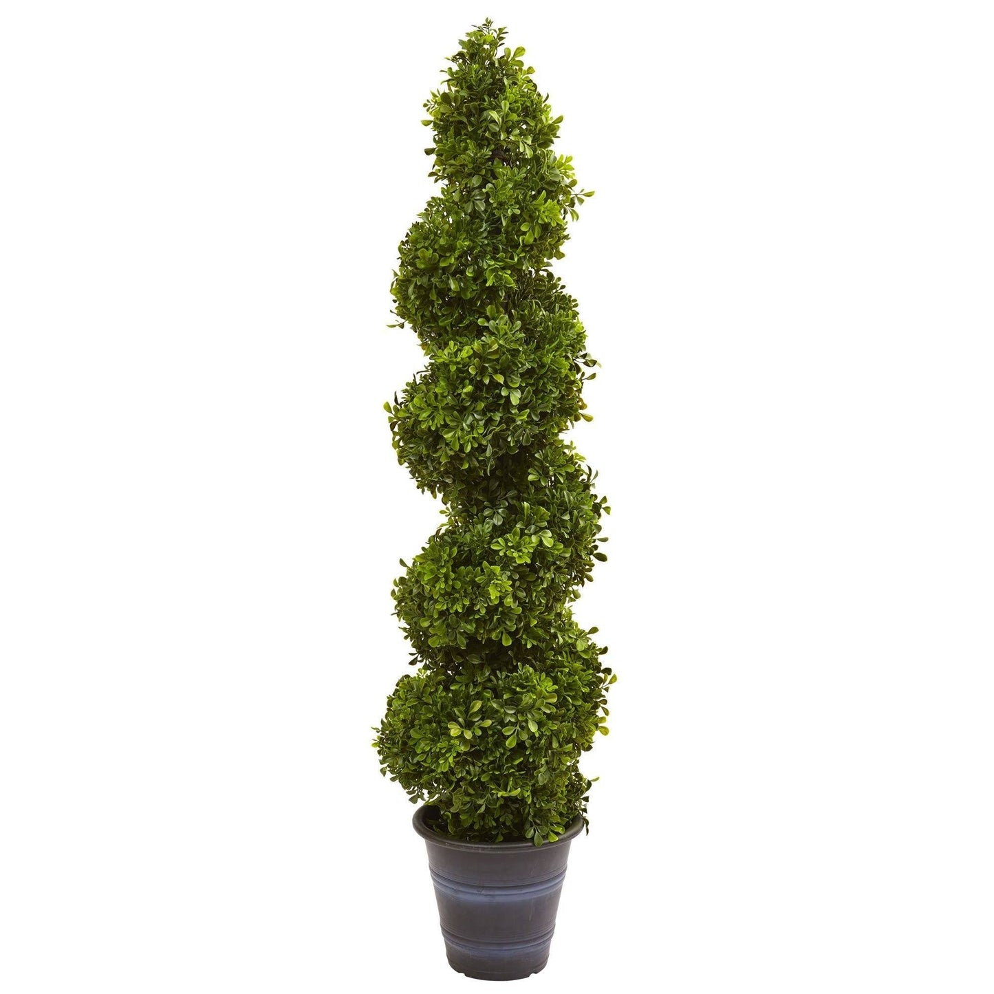 4' Boxwood Spiral Topiary with Planter (Indoor/Outdoor)