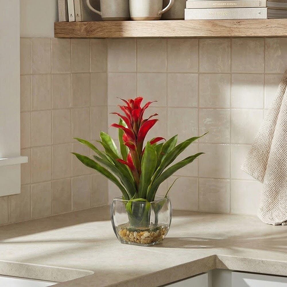 Bromeliad with Vase Arrangement