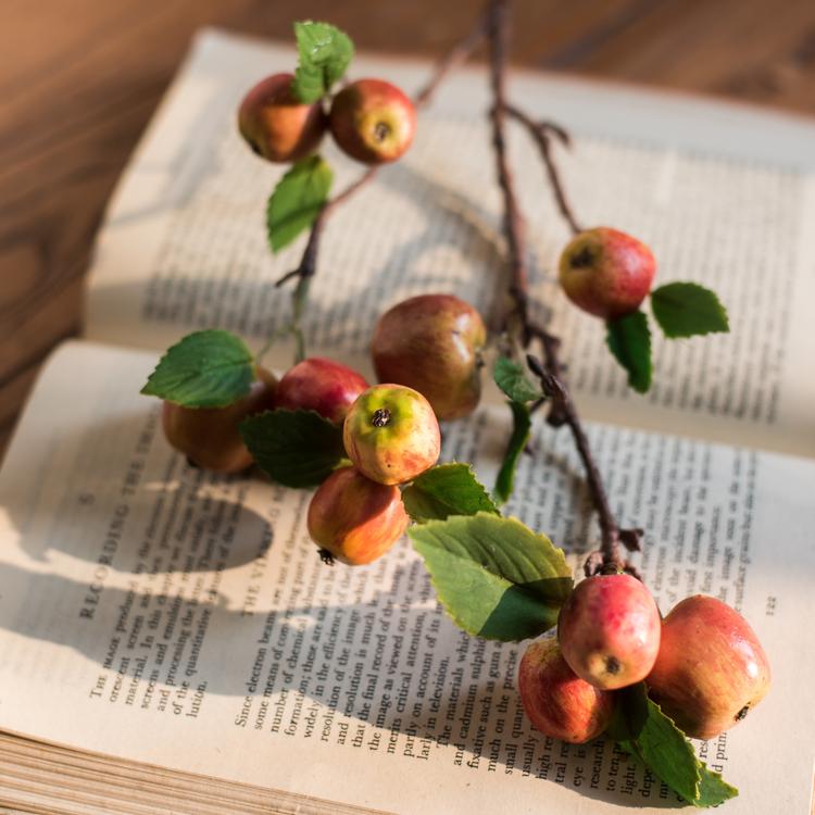 Artificial Fruit Mini Apple Stems in Red 23" Tall