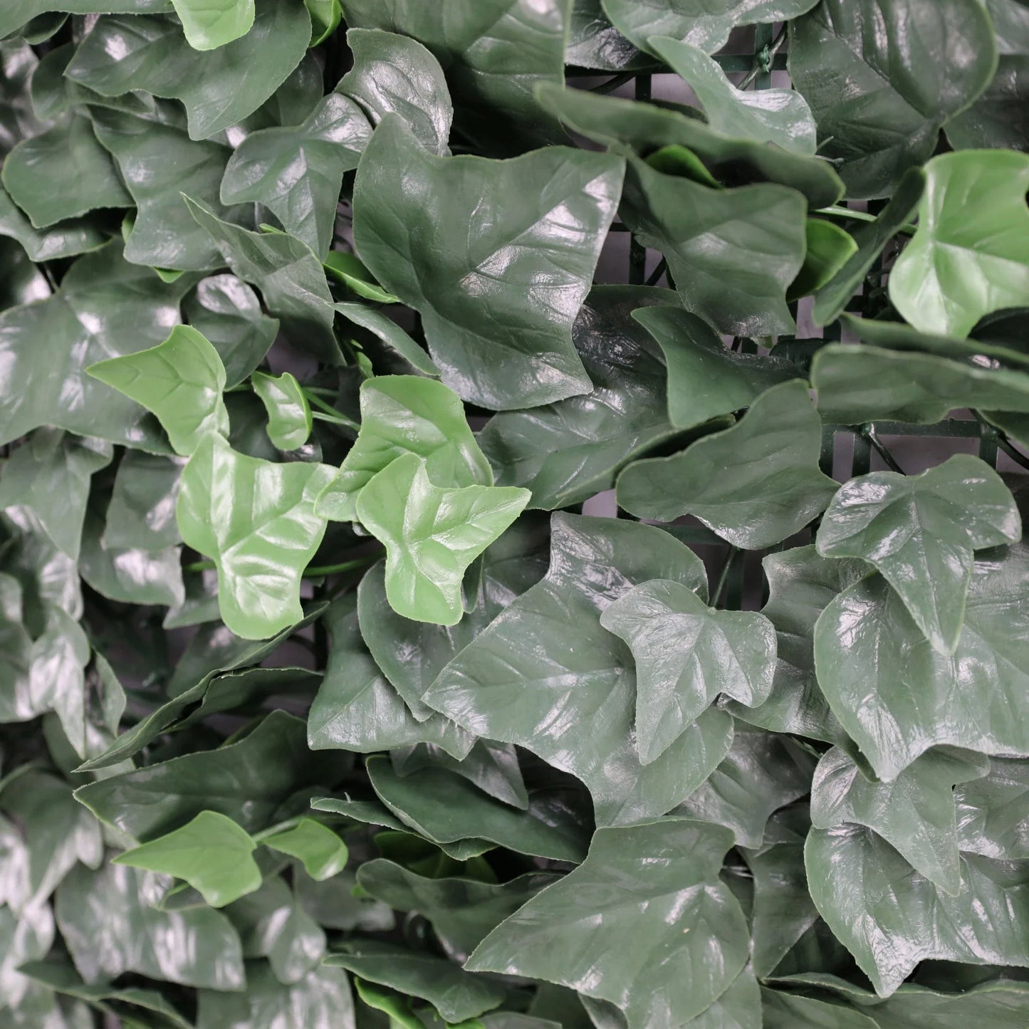 Sample Panel – Boston Ivy Green Wall (Small Sample)