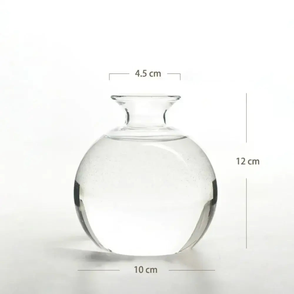 Clear glass avocado seed starter hydroponic vase for kitchen windowsills