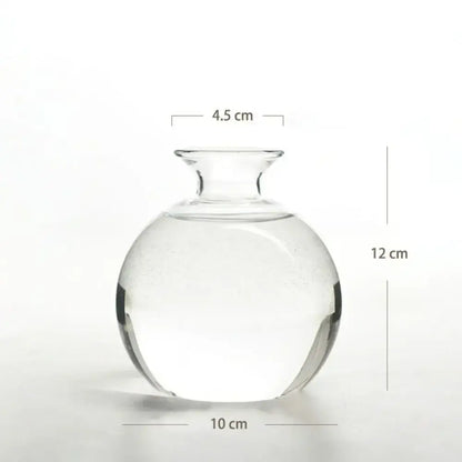 Clear glass avocado seed starter hydroponic vase for kitchen windowsills
