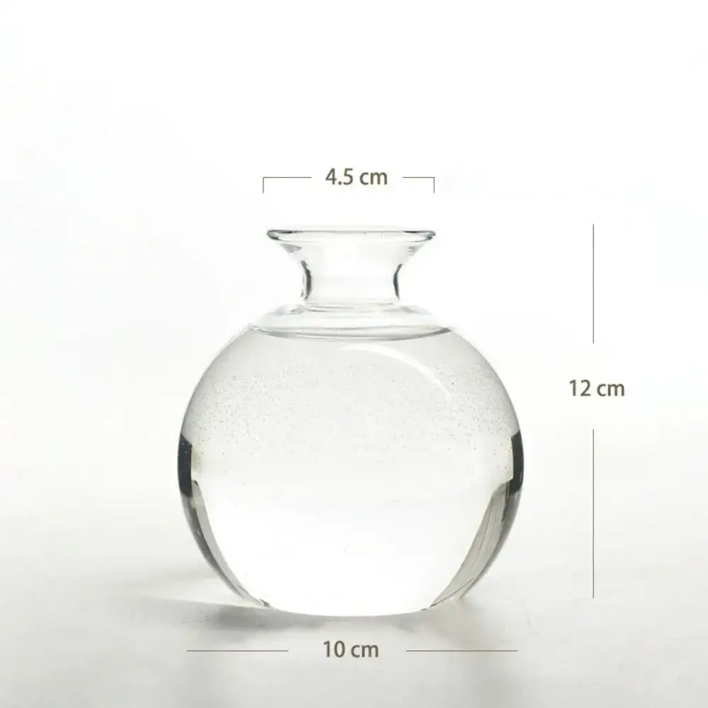 Clear glass avocado seed starter hydroponic vase for kitchen windowsills