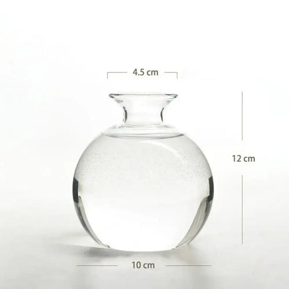 Clear glass avocado seed starter hydroponic vase for kitchen windowsills
