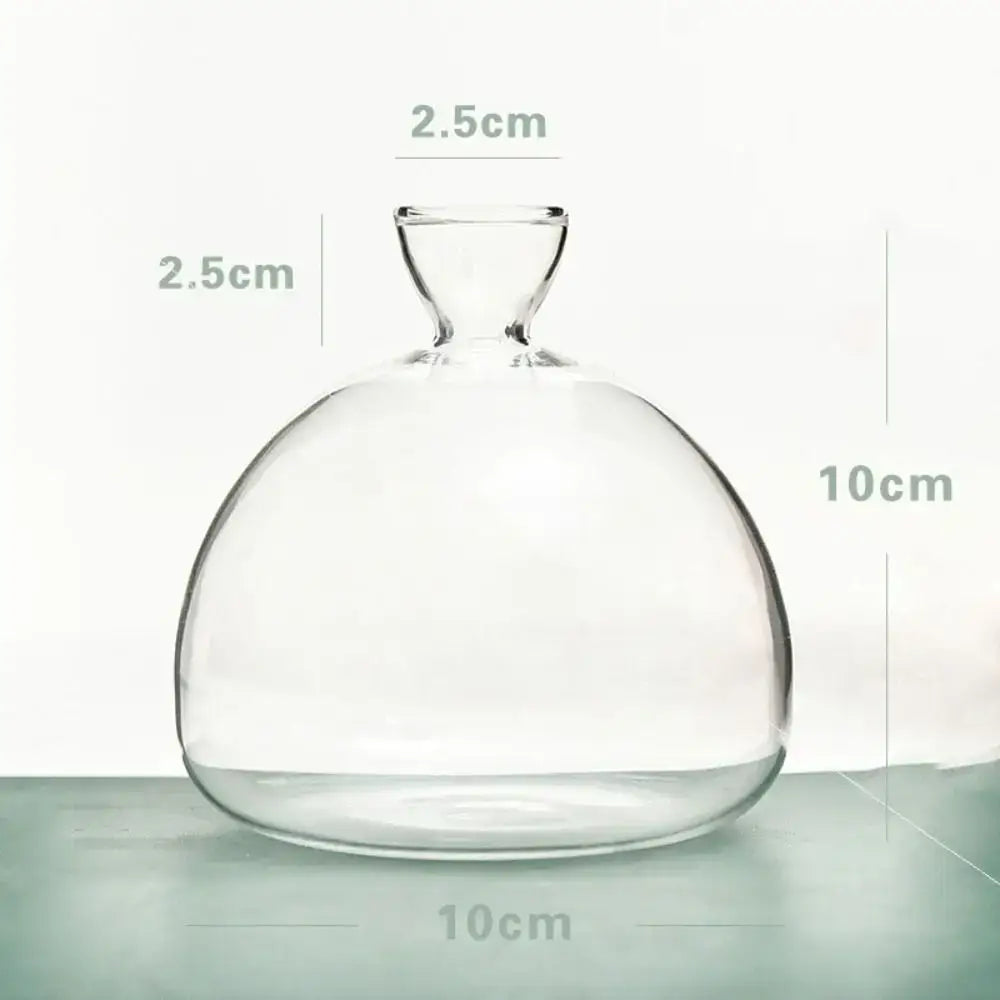 Clear glass avocado seed starter hydroponic vase for kitchen windowsills